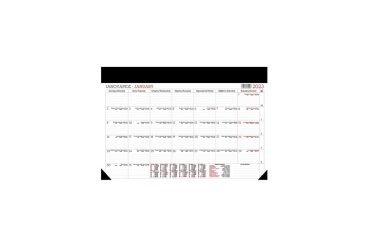 ΗΜΕΡΟΛΟΓΙΟ ΠΛΑΝΟ ΜΗΝΙΑΙΟ 35Χ49,5 2024 ΛΙΝΑΡΔΑΤΟΣ