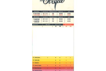 ΧΑΡΤΙ ΦΩΤΟΤΥΠΙΚΟ Α4 160γρ 250 ΦΥΛΛΑ FAVINI ΕΓΡΩΜΟ ΕΝΤΟΝΑ ΧΡΩΜΑΤΑ